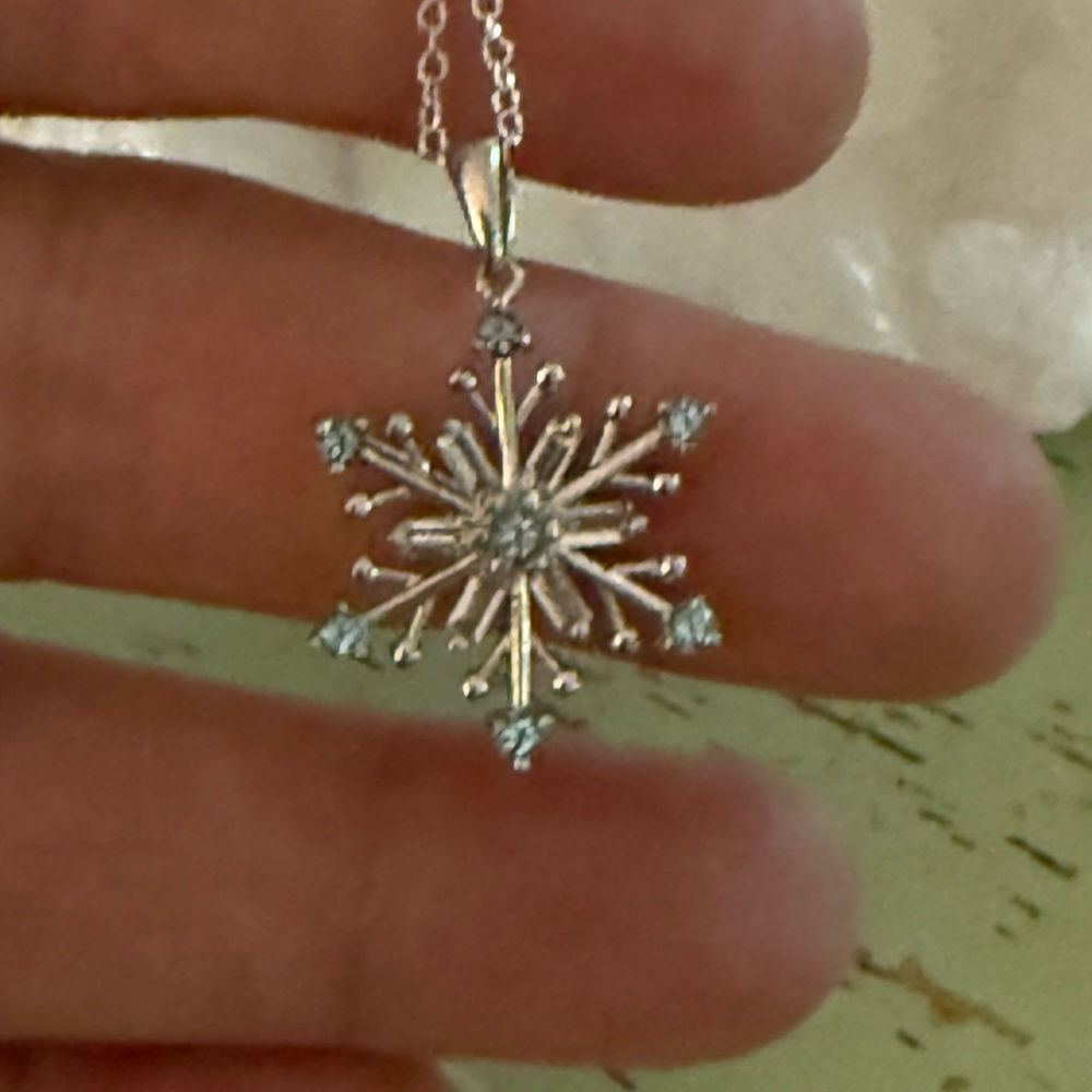 Stanley Silver Snowflake Necklace